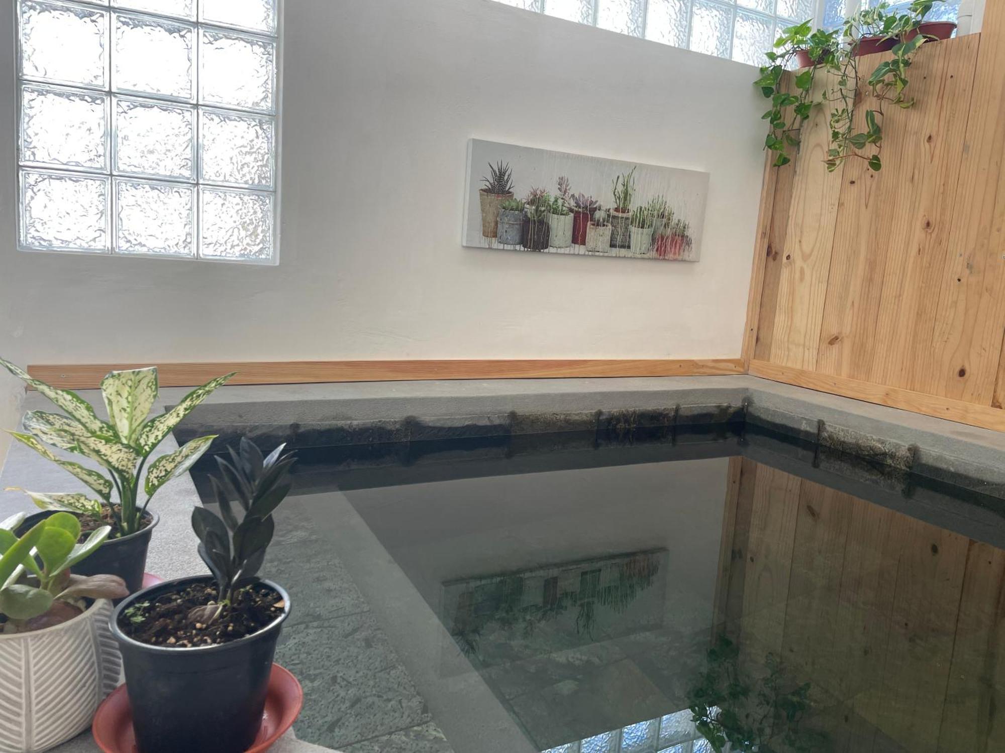 Sam & Chlo Studio & Appartment - Grand Baie - Mauritius 외부 사진